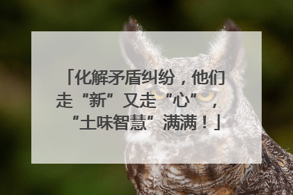 化解矛盾纠纷，他们走“新”又走“心”，“土味智慧”满满！
