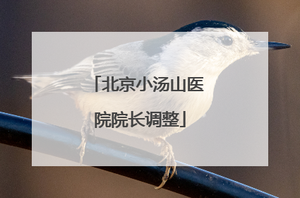 北京小汤山医院院长调整