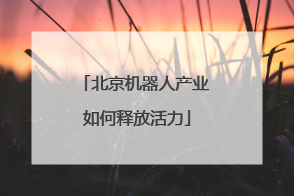 北京机器人产业如何释放活力