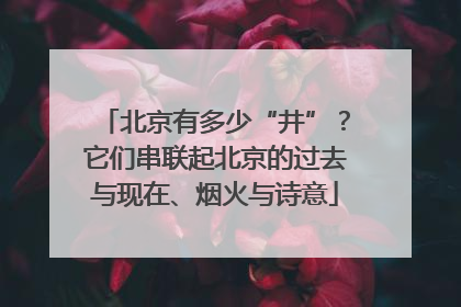 北京有多少“井”？它们串联起北京的过去与现在、烟火与诗意