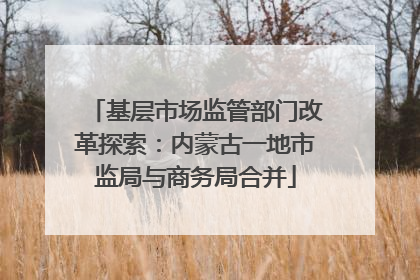 基层市场监管部门改革探索：内蒙古一地市监局与商务局合并