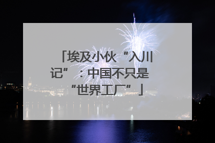埃及小伙“入川记”：中国不只是“世界工厂”