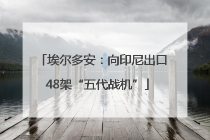 埃尔多安：向印尼出口48架“五代战机”