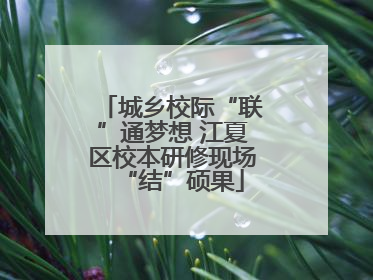 城乡校际“联”通梦想 江夏区校本研修现场“结”硕果