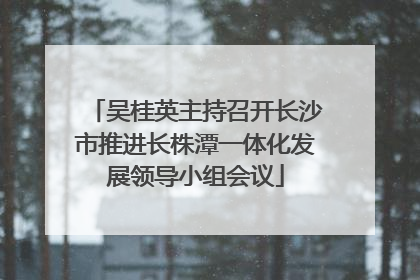 吴桂英主持召开长沙市推进长株潭一体化发展领导小组会议