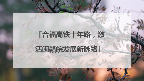 合福高铁十年路，激活闽赣皖发展新脉络