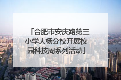 合肥市安庆路第三小学大杨分校开展校园科技周系列活动