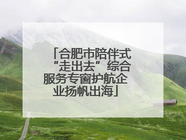 合肥市陪伴式“走出去”综合服务专窗护航企业扬帆出海