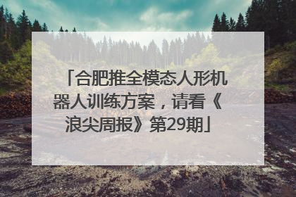 合肥推全模态人形机器人训练方案，请看《浪尖周报》第29期