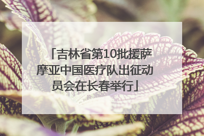 吉林省第10批援萨摩亚中国医疗队出征动员会在长春举行