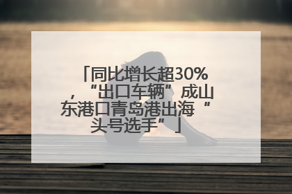 同比增长超30%，“出口车辆”成山东港口青岛港出海“头号选手”