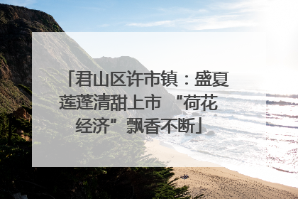 君山区许市镇：盛夏莲蓬清甜上市 “荷花经济”飘香不断
