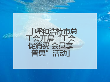 呼和浩特市总工会开展“工会促消费 会员享普惠”活动