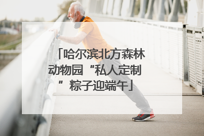 哈尔滨北方森林动物园“私人定制”粽子迎端午
