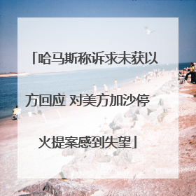 哈马斯称诉求未获以方回应 对美方加沙停火提案感到失望