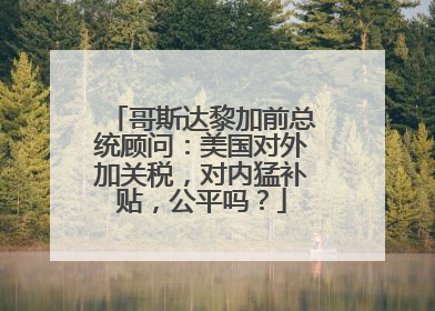 哥斯达黎加前总统顾问：美国对外加关税，对内猛补贴，公平吗？