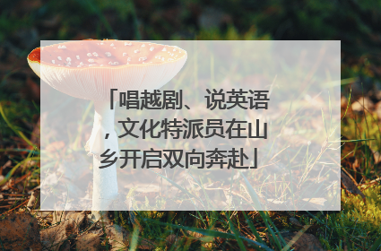 唱越剧、说英语，文化特派员在山乡开启双向奔赴