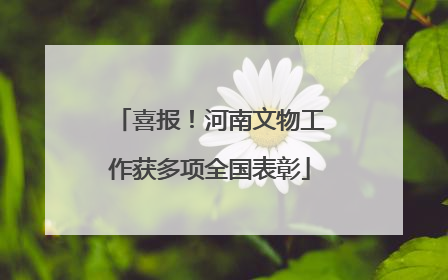 喜报！河南文物工作获多项全国表彰