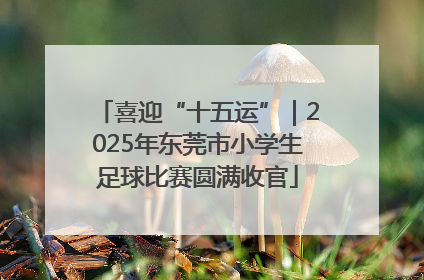 喜迎“十五运”｜2025年东莞市小学生足球比赛圆满收官