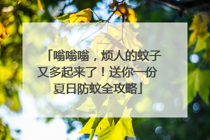 嗡嗡嗡，烦人的蚊子又多起来了！送你一份夏日防蚊全攻略