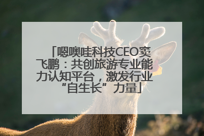 嗯噢哇科技CEO窦飞鹏：共创旅游专业能力认知平台，激发行业“自生长”力量