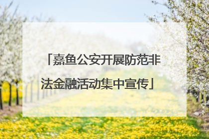 嘉鱼公安开展防范非法金融活动集中宣传
