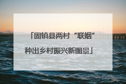 固镇县两村“联姻”种出乡村振兴新图景