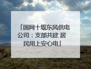 国网十堰东风供电公司：支部共建 居民用上安心电