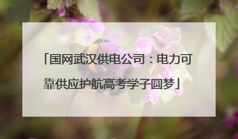 国网武汉供电公司：电力可靠供应护航高考学子圆梦