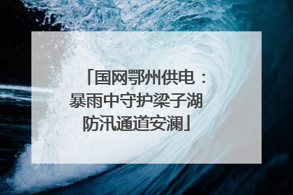 国网鄂州供电：暴雨中守护梁子湖防汛通道安澜
