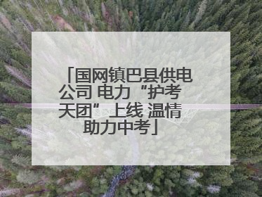 国网镇巴县供电公司 电力“护考天团”上线 温情助力中考