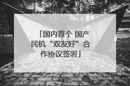 国内首个 国产民机“双友好”合作协议签署