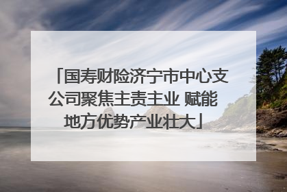 国寿财险济宁市中心支公司聚焦主责主业 赋能地方优势产业壮大