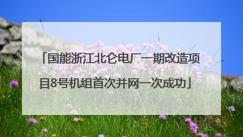 国能浙江北仑电厂一期改造项目8号机组首次并网一次成功