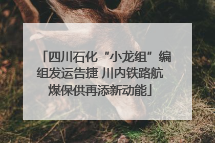 四川石化“小龙组”编组发运告捷 川内铁路航煤保供再添新动能