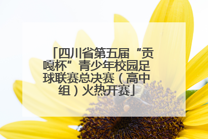 四川省第五届“贡嘎杯”青少年校园足球联赛总决赛（高中组）火热开赛
