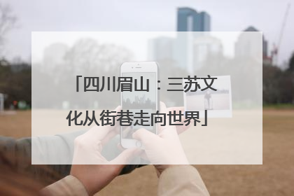 四川眉山：三苏文化从街巷走向世界
