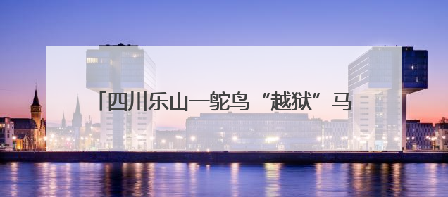 四川乐山一鸵鸟“越狱”马路狂奔，目击者：时速超40码，还对我“笑”了下