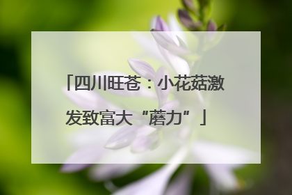 四川旺苍：小花菇激发致富大“蘑力”