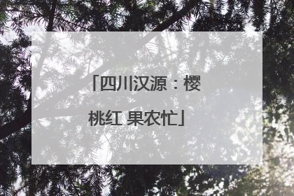 四川汉源：樱桃红 果农忙