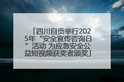 四川自贡举行2025年“安全宣传咨询日”活动 为应急安全公益短视频获奖者颁奖