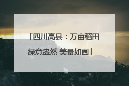 四川高县：万亩稻田绿意盎然 美景如画