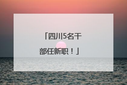 四川5名干部任新职！