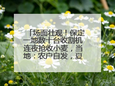 场面壮观！保定一地数十台收割机连夜抢收小麦，当地：农户自发，夏收工作基本完成