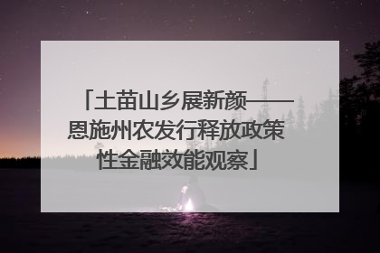 土苗山乡展新颜——恩施州农发行释放政策性金融效能观察