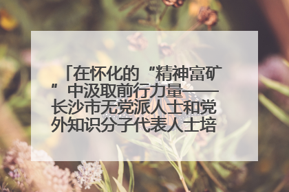 在怀化的“精神富矿”中汲取前行力量——长沙市无党派人士和党外知识分子代表人士培训班在怀化圆满举办