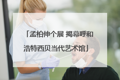孟柏伸个展 揭幕呼和浩特西贝当代艺术馆