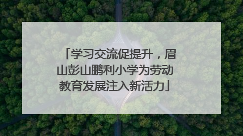 学习交流促提升，眉山彭山鹏利小学为劳动教育发展注入新活力