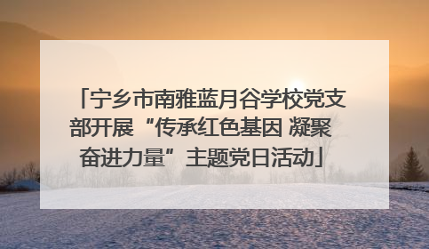 宁乡市南雅蓝月谷学校党支部开展“传承红色基因 凝聚奋进力量”主题党日活动