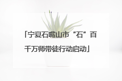 宁夏石嘴山市“石”百千万师带徒行动启动